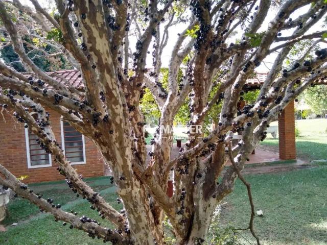 Fazenda venda em Região Imediata de Marília, Marília