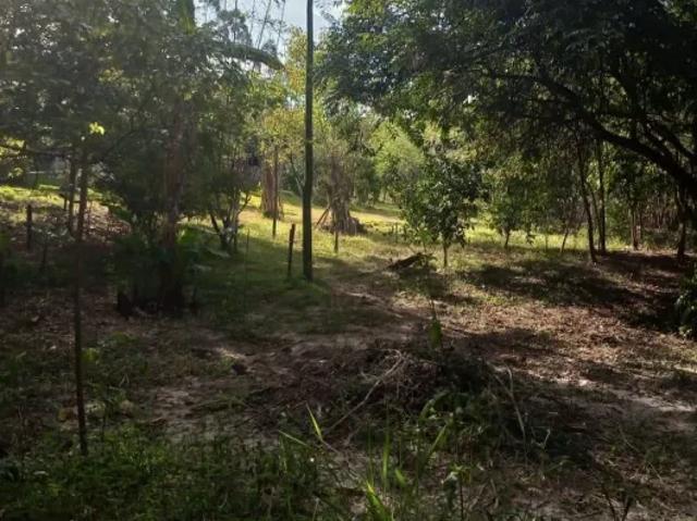 Fazenda venda em Região Imediata de Itapetininga, Guareí