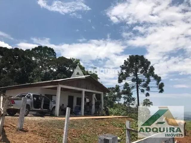 Fazenda venda em Região Geográfica Imediata de Ivaiporã, Cândido de Abreu