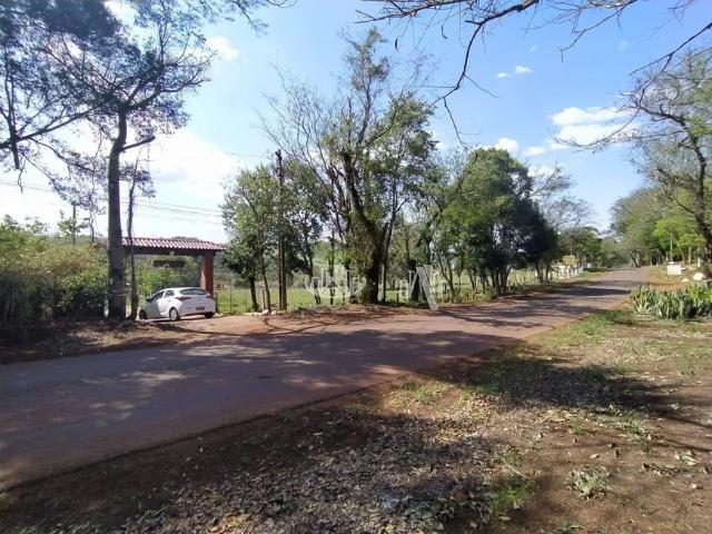 Fazenda venda em Região Geográfica Imediata de Londrina, Londrina