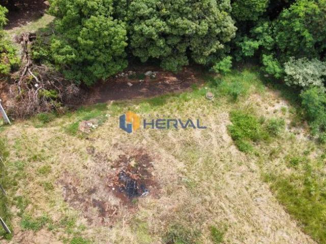 Fazenda venda em Região Geográfica Imediata de Maringá, Maringá