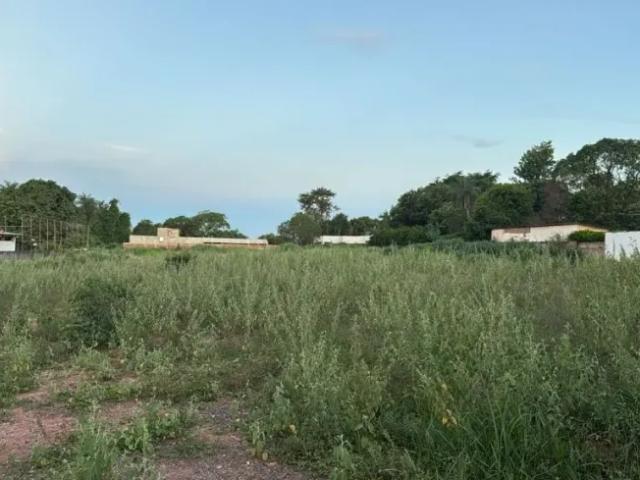 Fazenda venda em Região Imediata de São José do Rio Preto, Região Metropolitana de São José do Rio Preto
