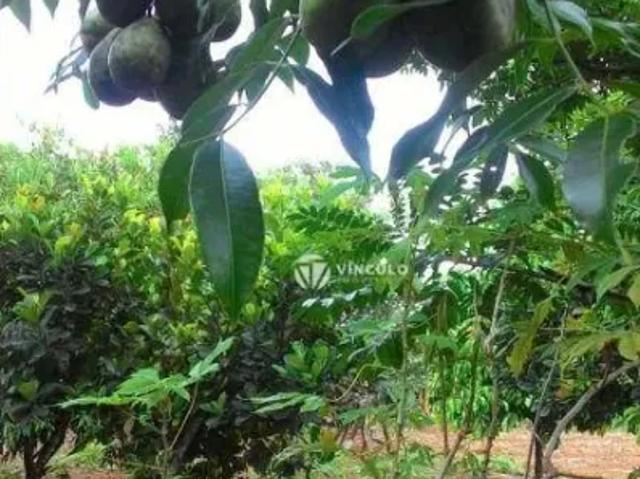 Fazenda venda em Região Geográfica Imediata de Uberaba, Uberaba