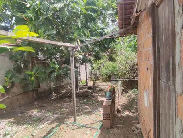 Fazenda venda em Região Geográfica Imediata de Caruaru, Gravata