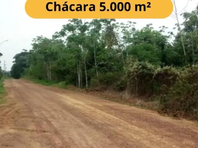 Fazenda venda em Região Geográfica Imediata de Porto Velho, Porto Velho