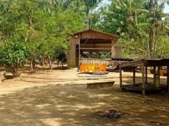 Fazenda venda em Região Geográfica Imediata de Porto Velho, Candeias do Jamari