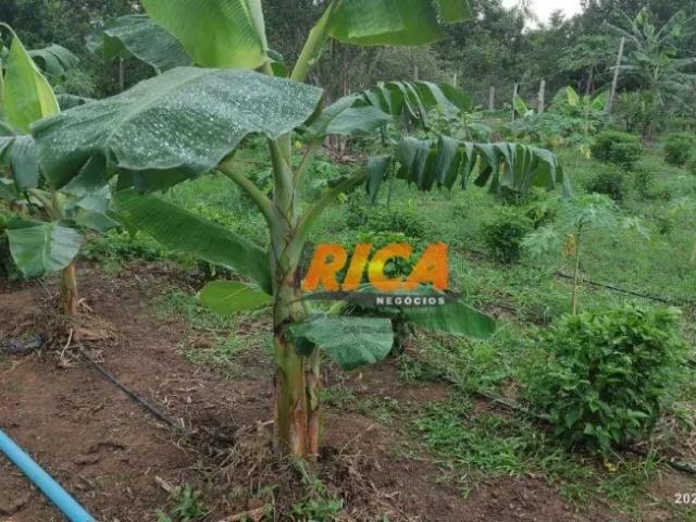 Fazenda venda em Região Geográfica Imediata de Porto Velho, Candeias do Jamari