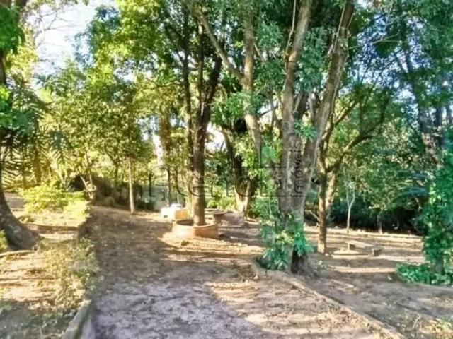 Fazenda venda em Região Imediata de Campinas, Região Metropolitana de Campinas