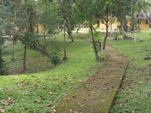 Fazenda venda em Região Geográfica Imediata de Paranaguá, Antonina