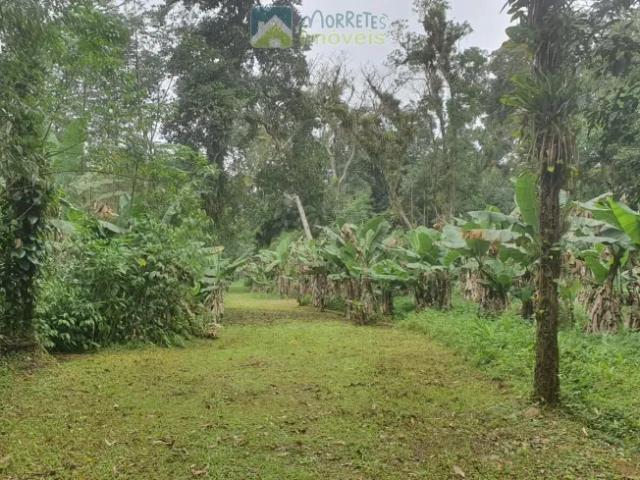 Fazenda venda em Região Geográfica Imediata de Paranaguá, Morretes