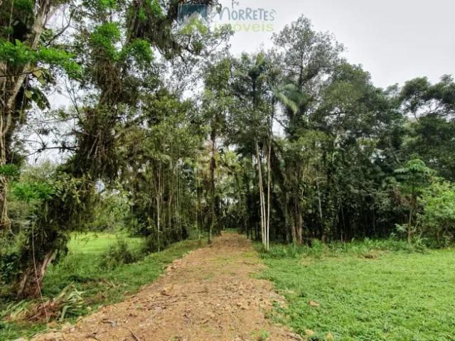 Fazenda venda em Região Geográfica Imediata de Paranaguá, Morretes