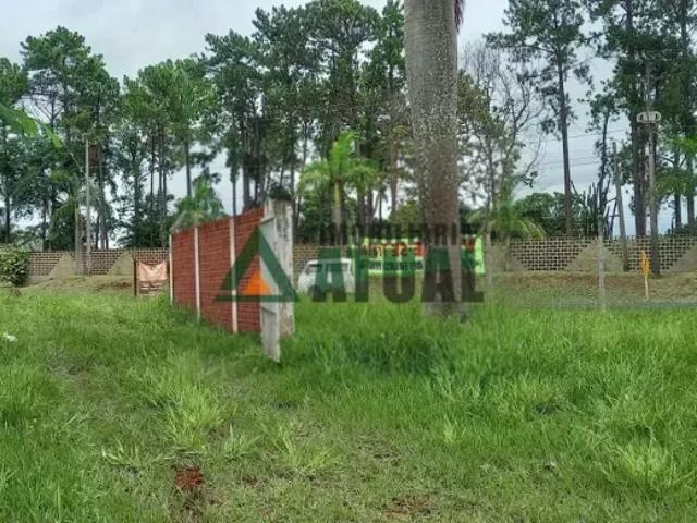 Fazenda venda em Região Geográfica Imediata de Londrina, Primeiro de Maio
