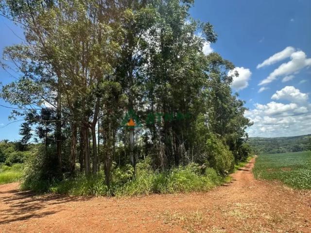 Fazenda venda em Região Geográfica Imediata de Londrina, Ibiporã