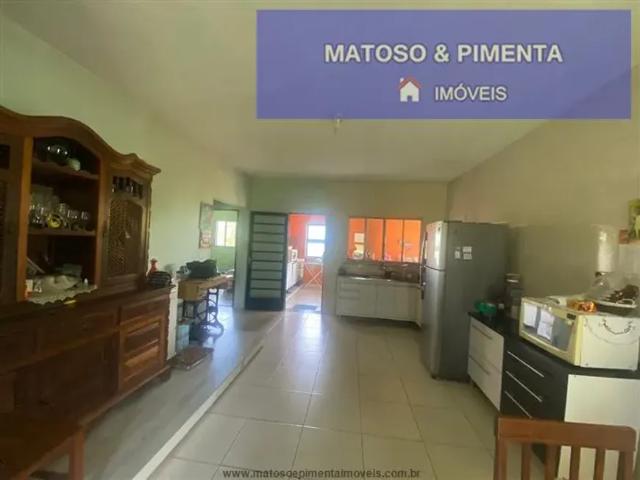 Fazenda venda em Região Imediata de Amparo, Amparo