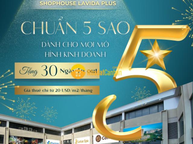 Căn hộ cho thuê