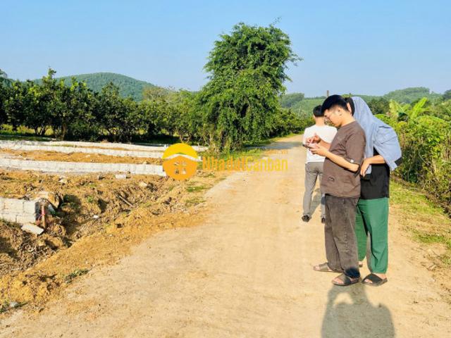 Mặt bằng bán