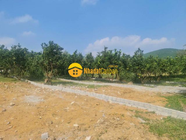 Mặt bằng bán