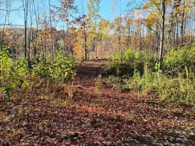 House for sale in Alleyn-et-cawood, Quebec