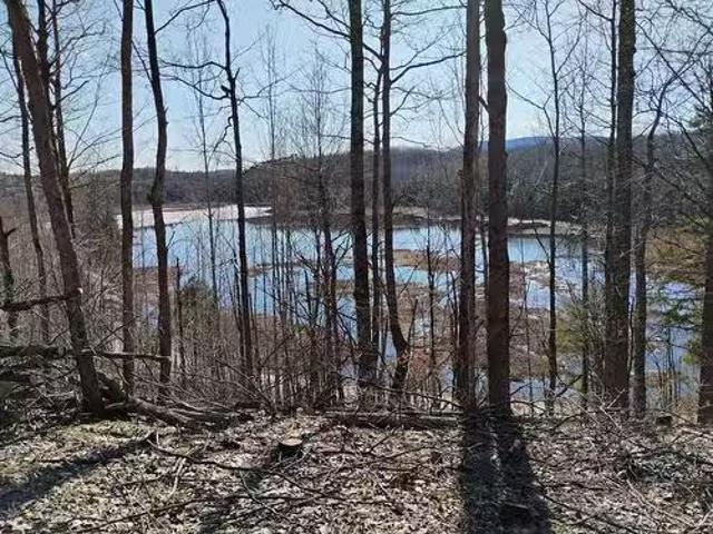 House for sale in Alleyn-et-cawood, Quebec
