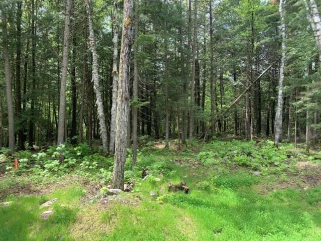 Land for sale in Laurentides, Quebec