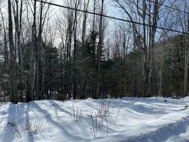 Land for sale in Memphrémagog, Quebec