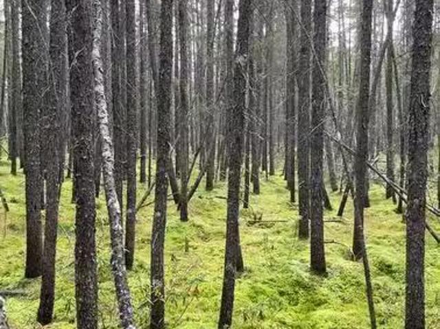 House for sale in Abitibi-témiscamingue, Quebec