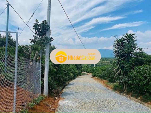 Mặt bằng bán