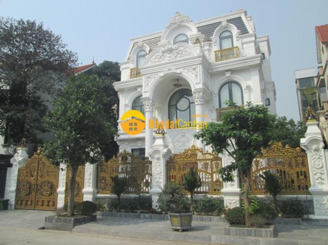 Biệt Thự bán