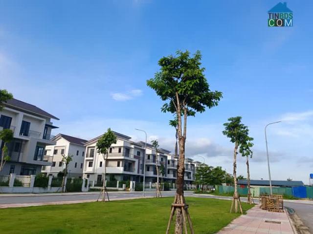 Biệt Thự bán tại Bắc Ninh