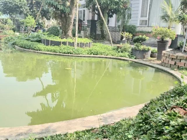 Nhà bán