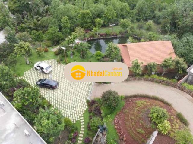 Nhà bán tại Vũng Tàu
