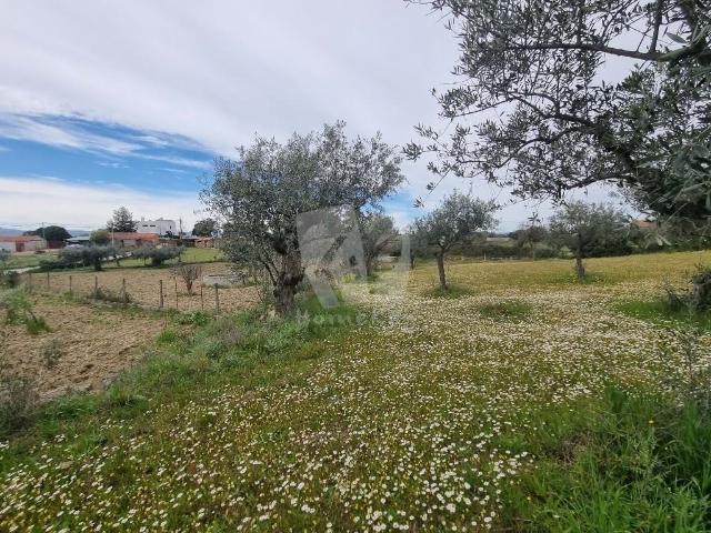 Terreno venda em Castelo Branco