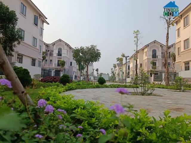 Biệt Thự bán tại Bắc Ninh