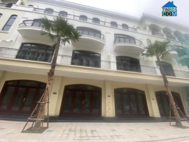 Nhà mặt phố cho thuê