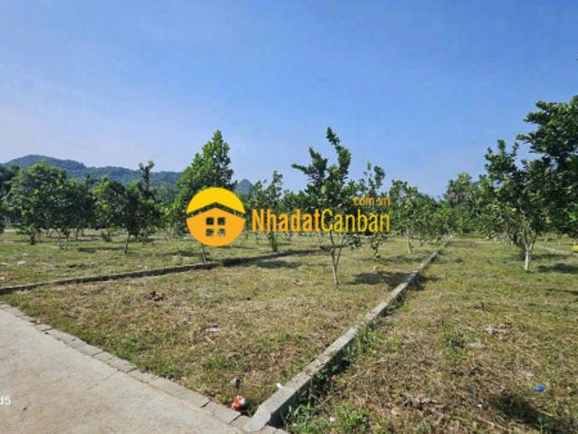 Mặt bằng bán