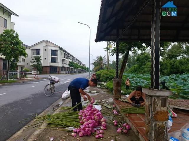 Biệt Thự bán tại Bắc Ninh