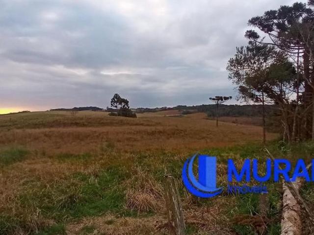 Sítio e chácara venda em Região Geográfica Imediata de Caxias do Sul, Caxias do Sul