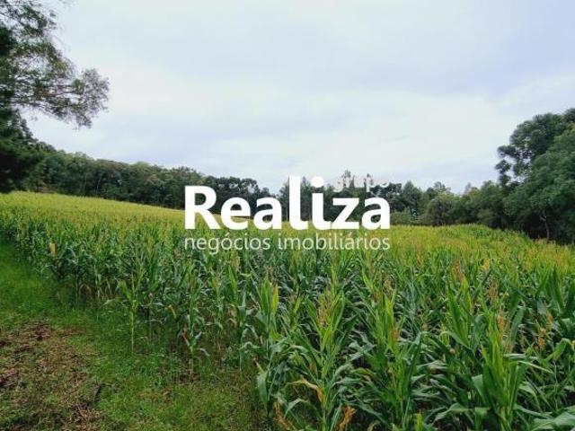 Sítio e chácara venda em Região Geográfica Imediata de Caxias do Sul, Caxias do Sul