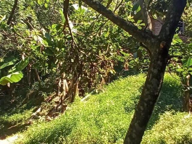 Sítio e chácara venda em Região Geográfica Imediata de Caxias do Sul, Vale Real