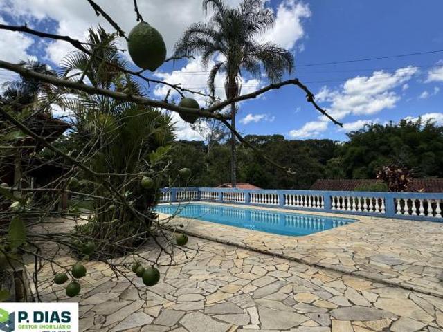 Sítio e chácara venda em Munhoz, Minas Gerais