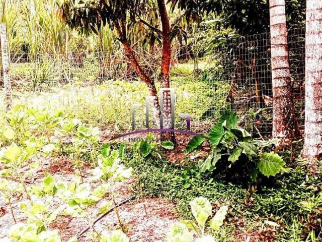 Sítio e chácara venda em Região Imediata de Registro, Registro