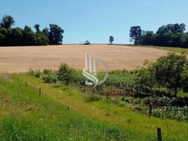 Sítio e chácara venda em Região Geográfica Imediata de Cruz Alta, Ibirubá