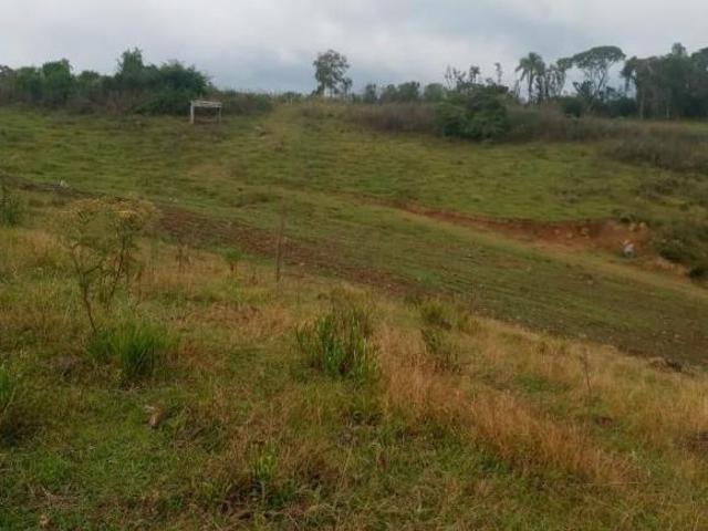 Sítio e chácara venda em Região Geográfica Imediata de Caxias do Sul, Caxias do Sul
