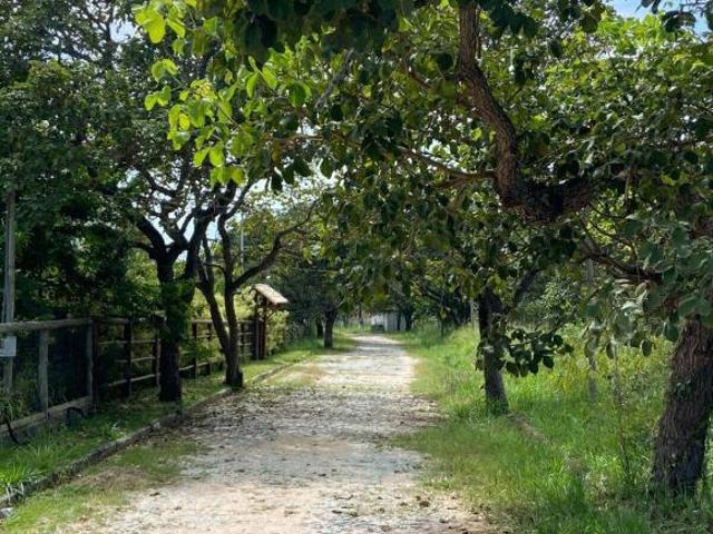 Sítio e chácara venda em Região Geográfica Imediata de Divinópolis, Carmo do Cajuru