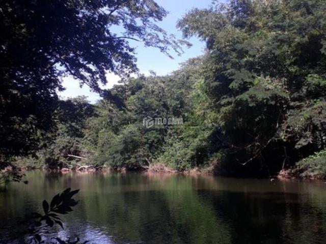 Sítio e chácara venda em Região Geográfica Imediata de Cuiabá, Região Metropolitana do Vale do Rio Cuiabá