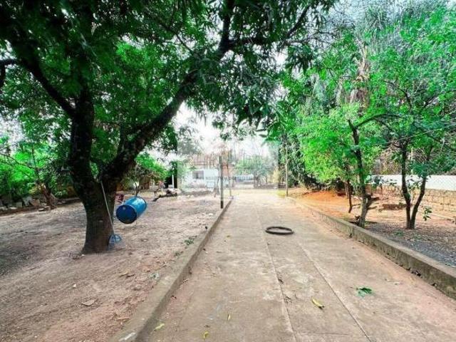 Sítio e chácara venda em Região Imediata de São José do Rio Preto, Região Metropolitana de São José do Rio Preto