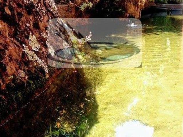 Sítio e chácara venda em Vargem, São Paulo