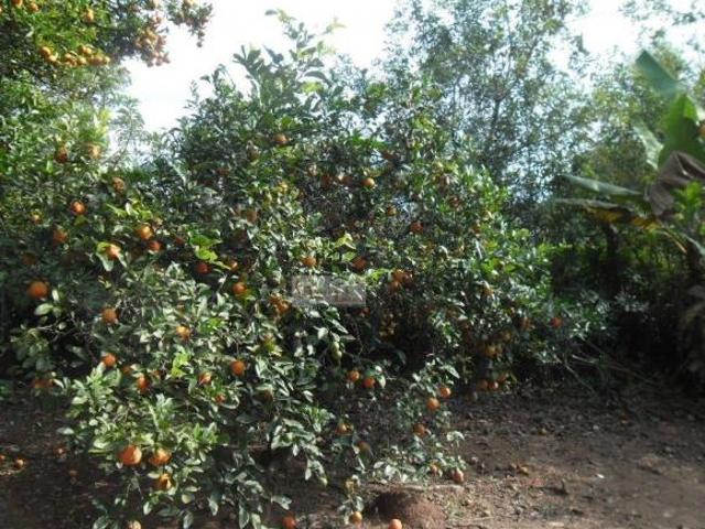 Sítio e chácara venda em Região Imediata de Bragança Paulista, Atibaia