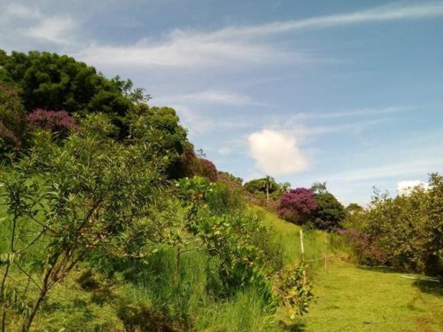 Sítio e chácara venda em Região Geográfica Imediata de Paranaguá, Antonina