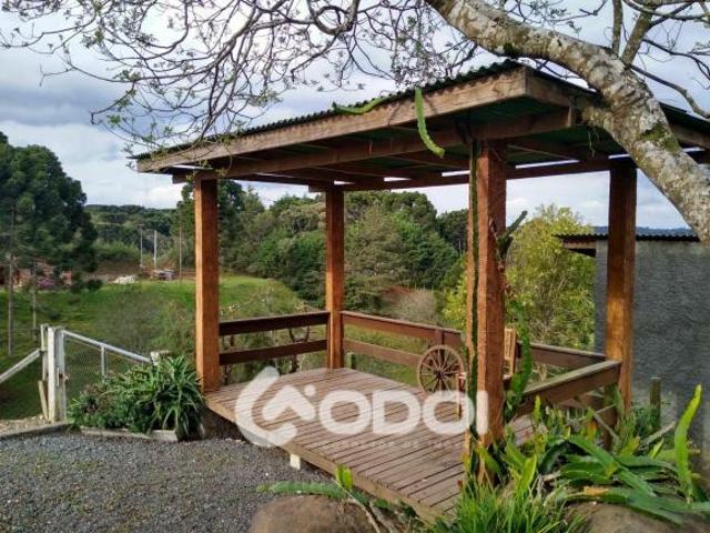 Sítio e chácara venda em Centro, Campo Largo